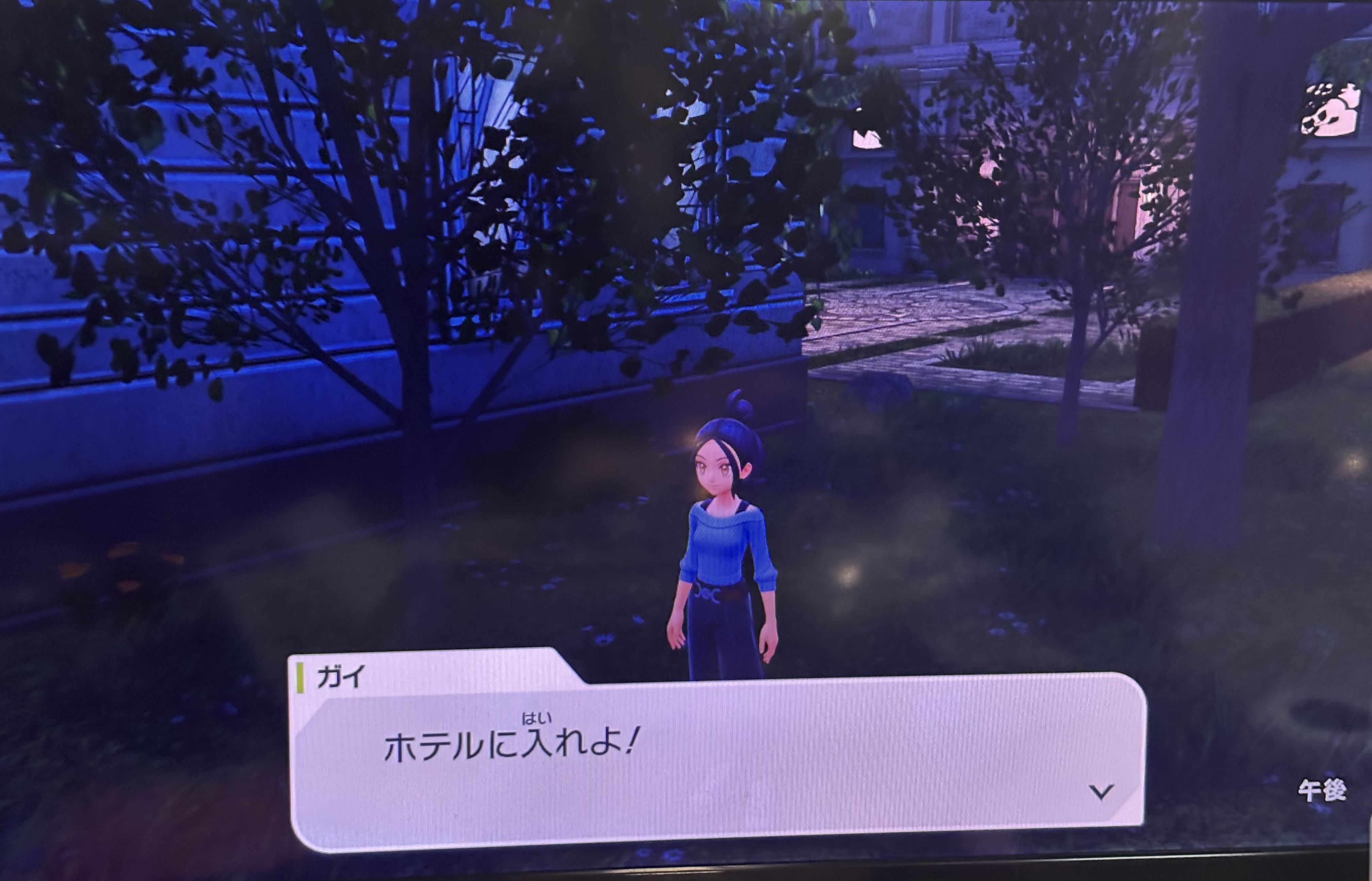 20260109175606-noanoadim79.jpeg